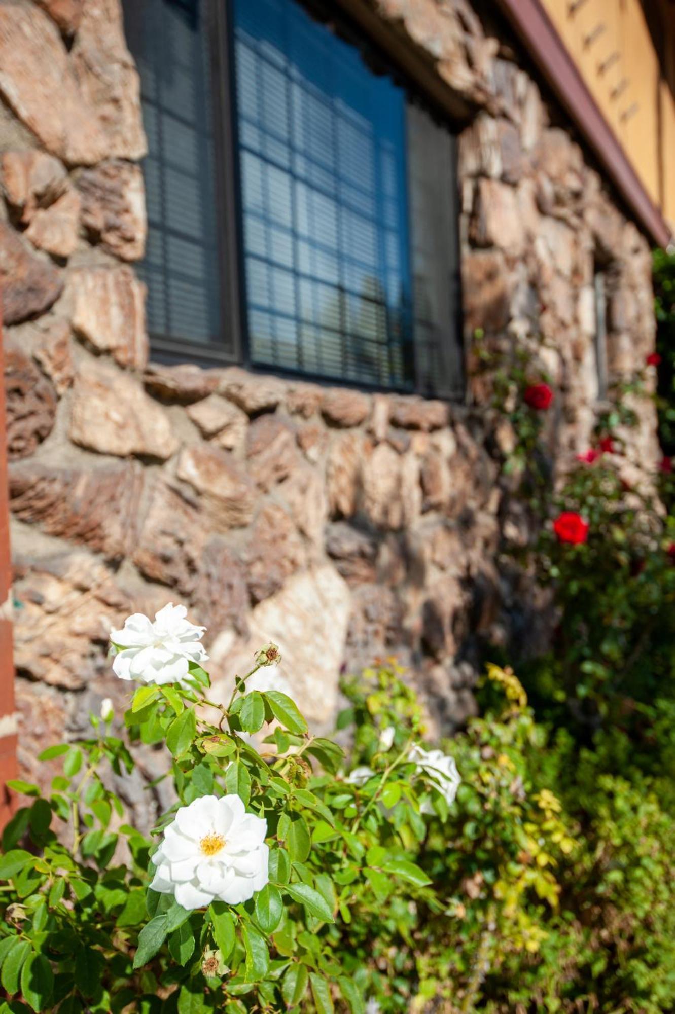 Studio City Court Yard Hotel Екстериор снимка